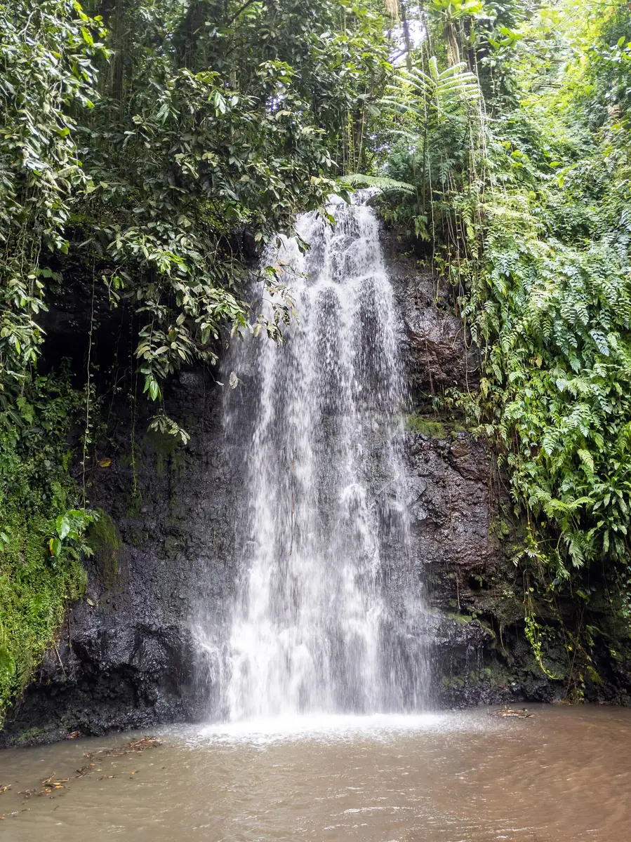 Cascade dans la végétation tropicale