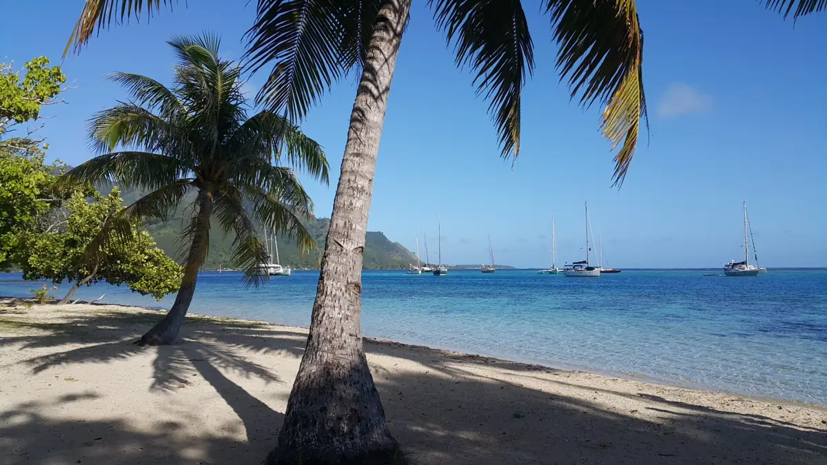 Une plage de sable de Moorea au bord du lagon